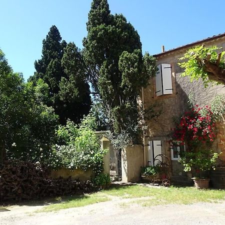 Sigean - Maison Domaine Viticole, 6 Km De La Mer 外观 照片