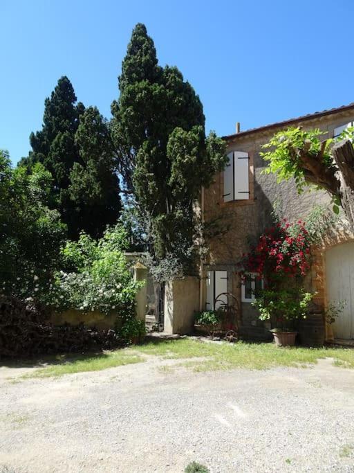 Sigean - Maison Domaine Viticole, 6 Km De La Mer 外观 照片