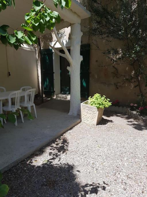 Sigean - Maison Domaine Viticole, 6 Km De La Mer 外观 照片
