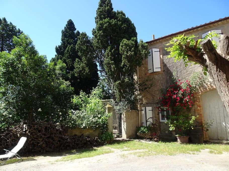 Sigean - Maison Domaine Viticole, 6 Km De La Mer 外观 照片